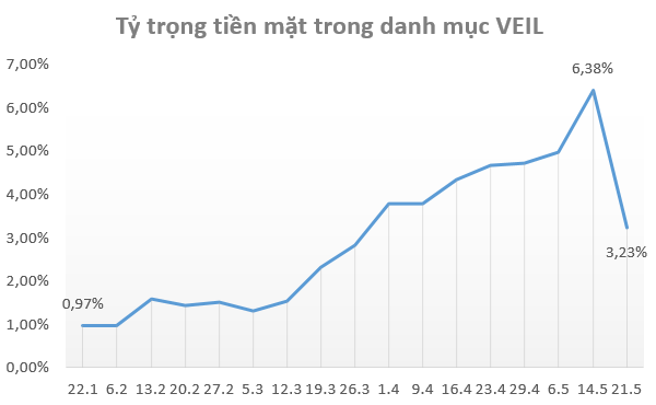 Quỹ tỷ đô của Dragon Capital đẩy mạnh giải ngân cổ phiếu trong tháng 5 - Ảnh 1.